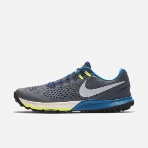 Кроссовки для бега Nike Air Zoom Terra Kiger 4 мужские Серый цвет