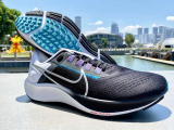 Обзор кроссовок Nike Zoom Pegasus 38