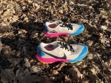 Обзор кроссовок Nike Zoom Terra Kiger 5